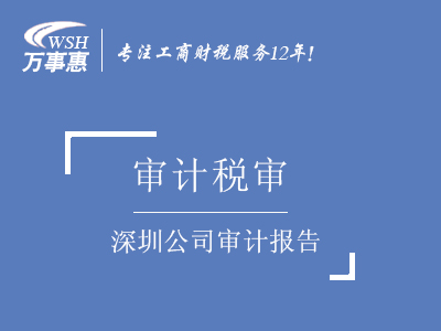 深圳公司审计报告