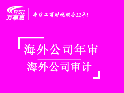 海外公司审计代办_海外公司做账报税_代理海外记账-万事惠海外服务