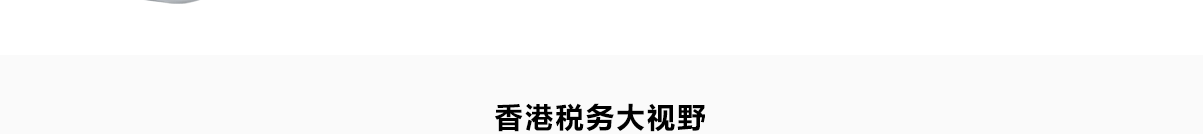 香港公司审计_07.png
