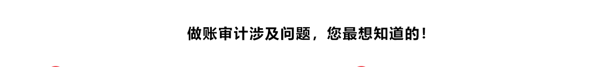 香港公司审计_15.png